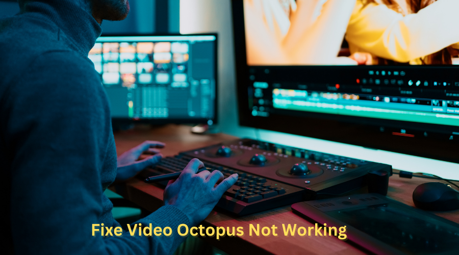 Video Octopus Not Working