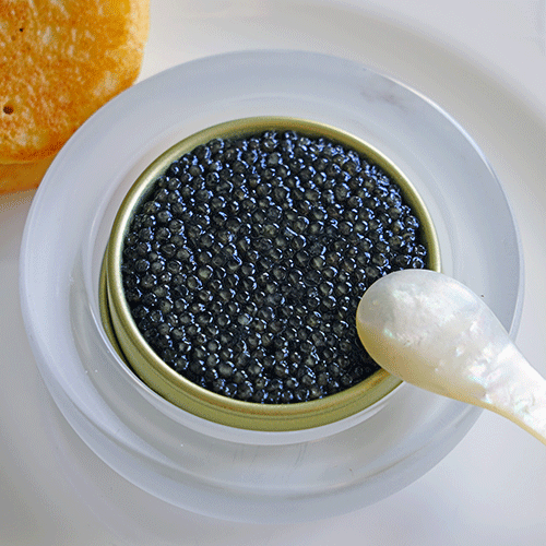 Caviar Food