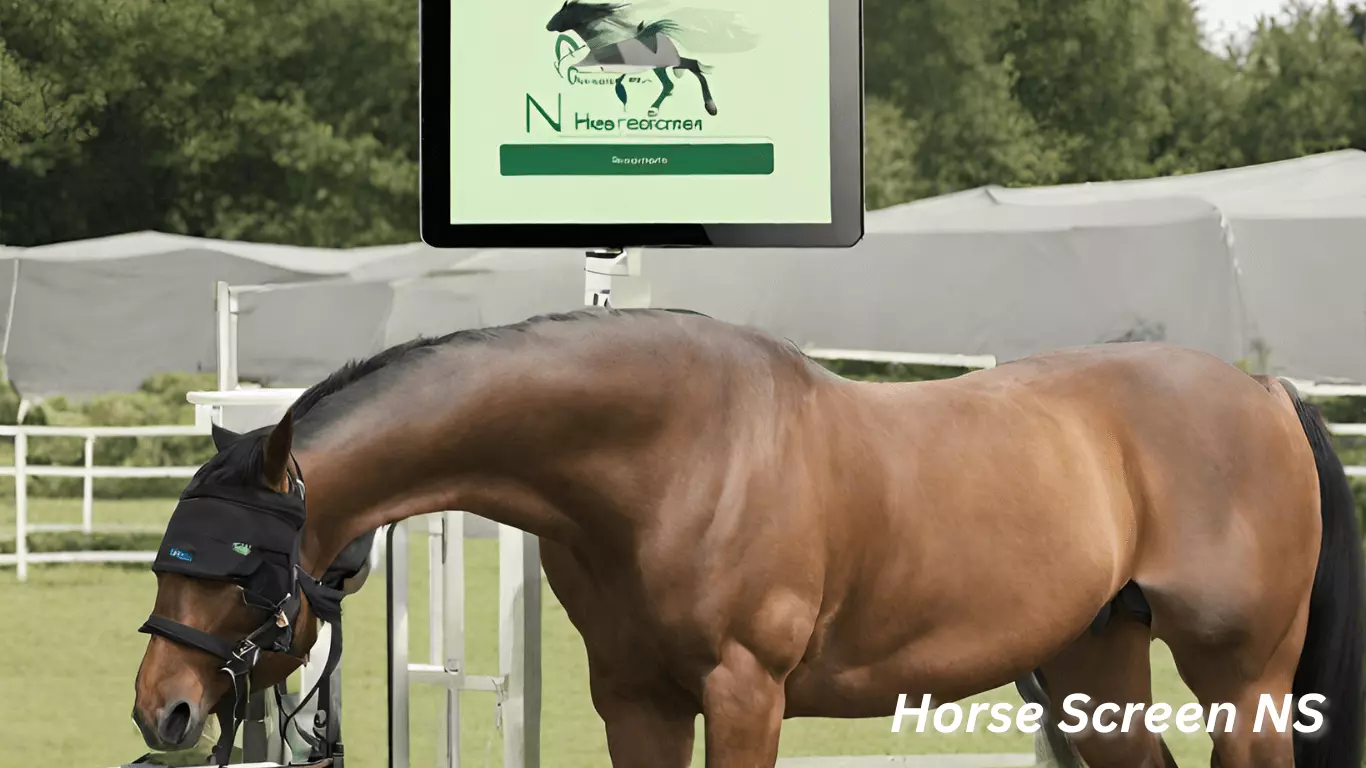 Horse Screen NS