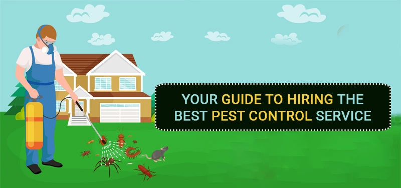 Pest Control Service