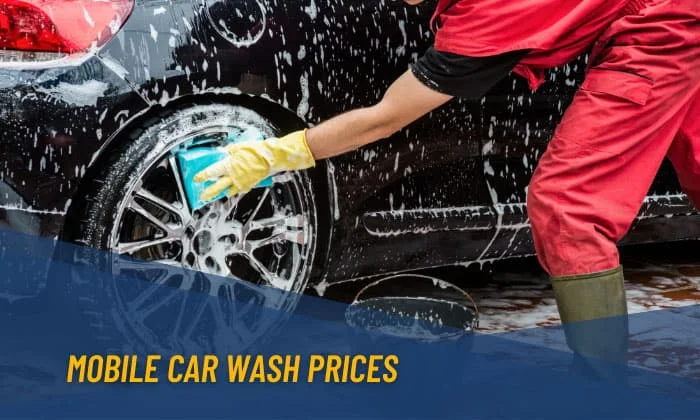 Mobile Car Cleaning Services