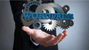 WordPress framework