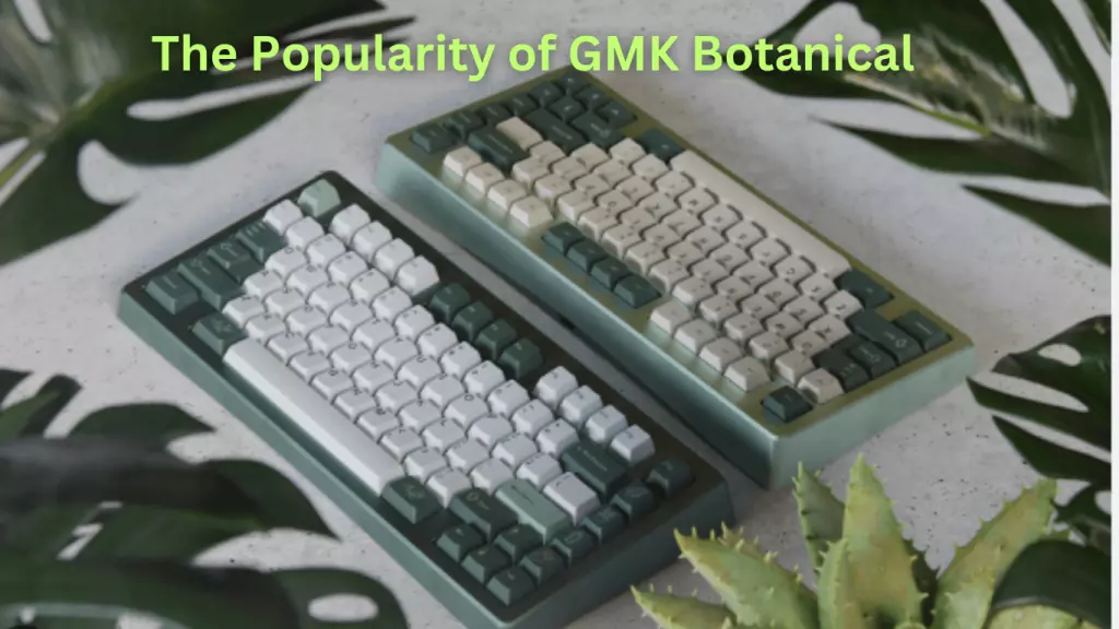 The Popularity of GMK Botanical