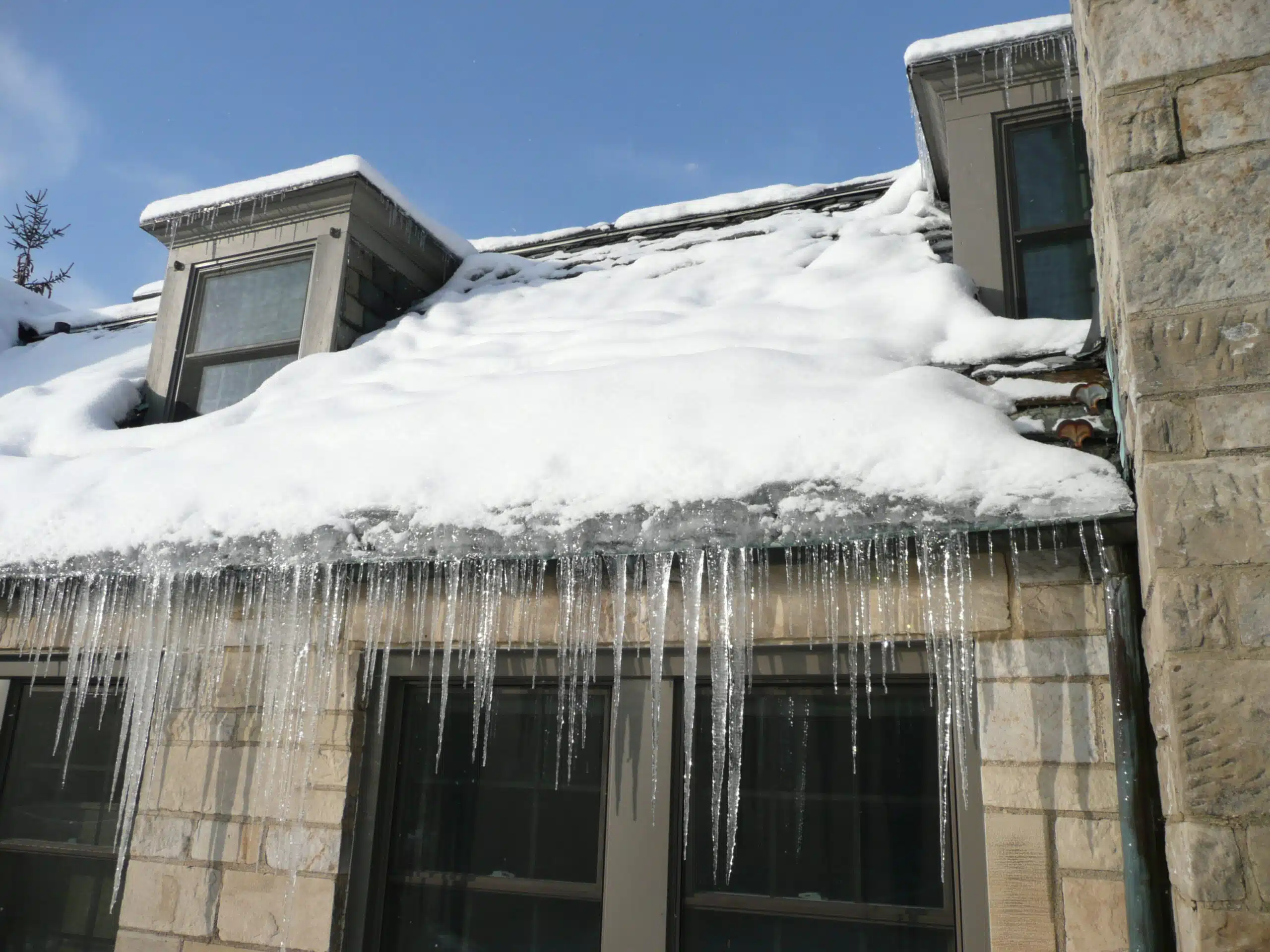 Roof for Calgary's Winter