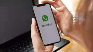 WhatsApp Business API