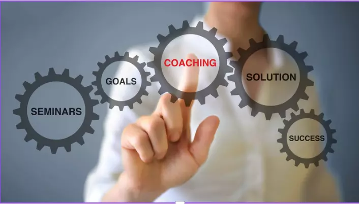 PedroVazPaulo Executive Coaching