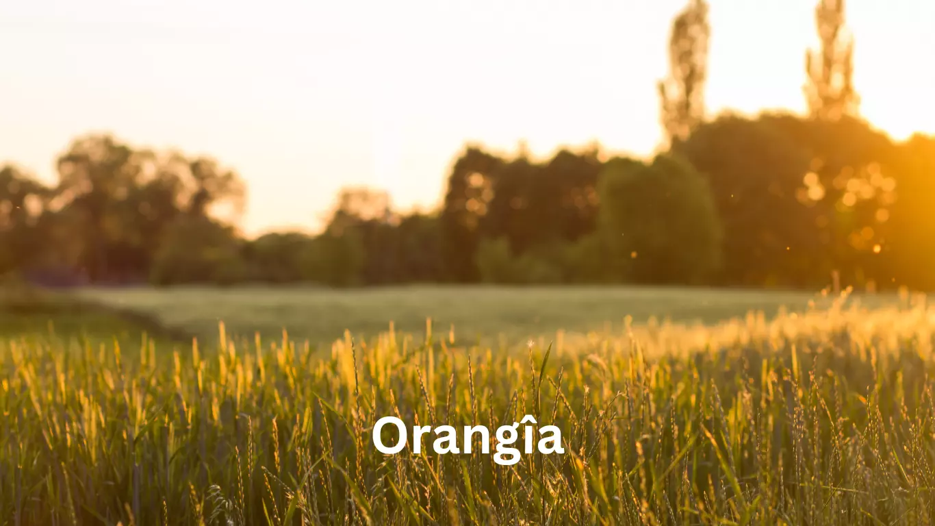 Orangîa