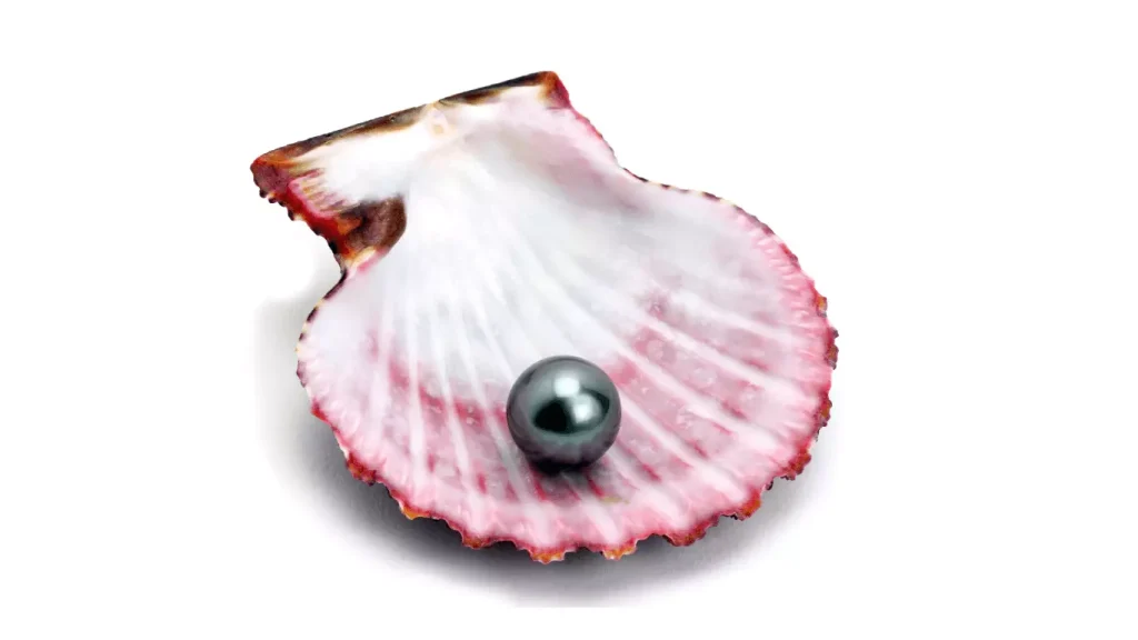 Tahitian Pearls